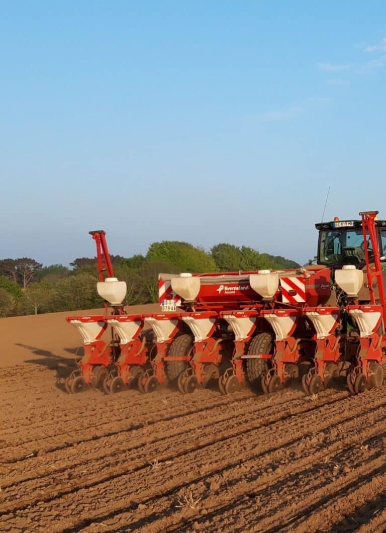Basée à Douarnenez près d'Audierne, la SARL KERIVEL réalise des travaux publics et agricoles dans le Finistère et en Bretagne, alliant expertise locale et équipements performants pour vos chantiers.