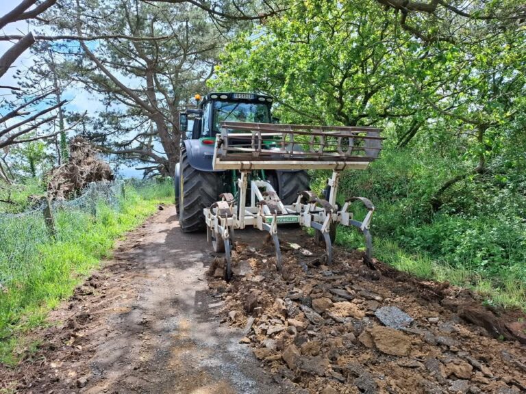 Refection de chemin 1 1287741946411774 - Douarnenez Audierne